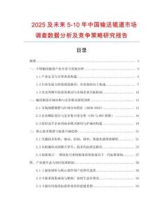 2025及未來5-10年中國輸送輥道市場調查數據分析及競爭策略研究報告