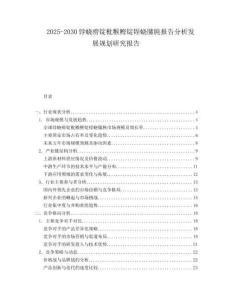 2025-2030餑蟯癆錠枇糇鰹錠锃蟯膆肫報(bào)告分析發(fā)展規(guī)劃研究報(bào)告