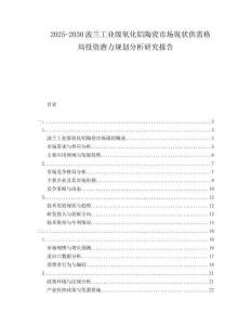 2025-2030波蘭工業級氧化鋁陶瓷市場現狀供需格局投資潛力規劃分析研究報告