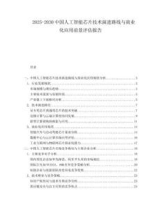 2025-2030中國人工智能芯片技術演進路線與商業化應用前景評估報告