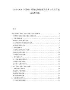2025-2030中國MES系統(tǒng)定制化開發(fā)需求與供應商能力匹配分析