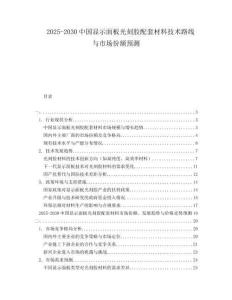 2025-2030中國顯示面板光刻膠配套材料技術路線與市場份額預測