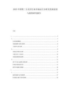 2025中國第三方支付行業(yè)市場運行分析及發(fā)展前景與投資研究報告