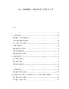 2025源網荷儲一體化項目開發模式分析