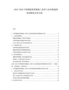 2025-2030中國鋼板樁圍堰施工效率與水利基建投資規模相關性分析