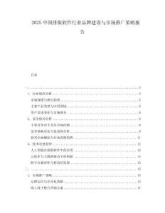2025中國排版軟件行業品牌建設與市場推廣策略報告