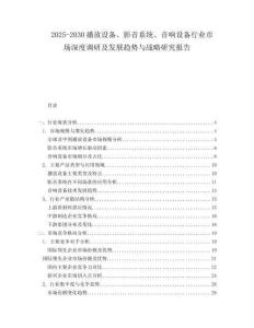 2025-2030播放設備、影音系統、音響設備行業市場深度調研及發展趨勢與戰略研究報告
