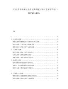 2025中國精密儀器用超薄鋼板切割工藝革新與進口替代機會報告