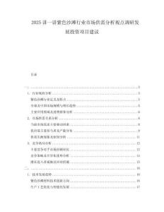 2025講一講紫色沙灘行業(yè)市場供需分析觀點(diǎn)調(diào)研發(fā)展投資項目建議