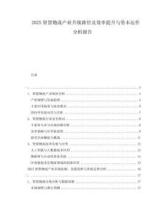 2025智慧物流產業升級路徑及效率提升與資本運作分析報告