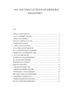 2025-2030中國電子支付普及率分析及跨境結算業務機會研究報告