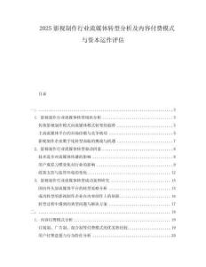 2025影視制作行業(yè)流媒體轉(zhuǎn)型分析及內(nèi)容付費(fèi)模式與資本運(yùn)作評估