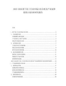 2025-2030荷蘭化工行業市場占位分析及產業延伸投資計劃分析研究報告