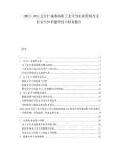 2025-2030支付行業市場電子支付的創新發展及支付安全體系建設技術研究報告