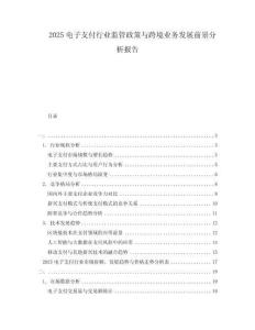 2025電子支付行業監管政策與跨境業務發展前景分析報告