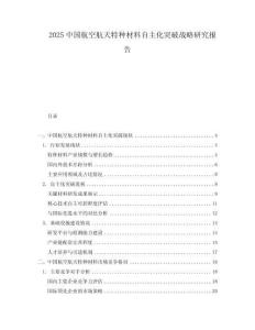2025中國航空航天特種材料自主化突破戰(zhàn)略研究報告