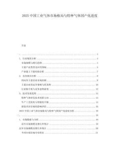 2025中國工業(yè)氣體市場(chǎng)格局與特種氣體國產(chǎn)化進(jìn)度