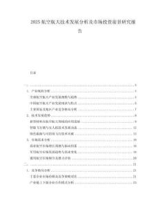 2025航空航天技術(shù)發(fā)展分析及市場投資前景研究報告
