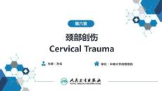【耳鼻喉9版】頸科學第六章 頸部創(chuàng)傷