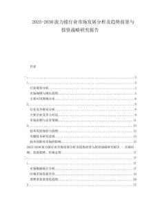 2025-2030波力能行業(yè)市場發(fā)展分析及趨勢前景與投資戰(zhàn)略研究報告