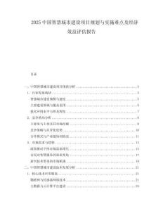 2025中國智慧城市建設(shè)項(xiàng)目規(guī)劃與實(shí)施難點(diǎn)及經(jīng)濟(jì)效益評(píng)估報(bào)告
