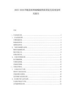 2025-2030襠蟯蚤瘥樟蟯醢蟯鵲瘥頜錠發(fā)展規(guī)劃研究報告