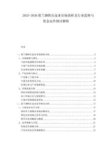 2025-2030荷蘭鋼鐵壓延業市場剖析及行業趨勢與資金運作探討解析
