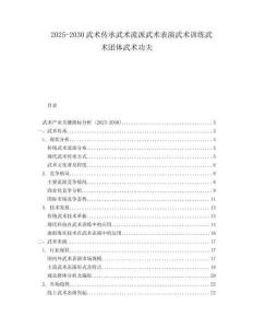 2025-2030武術傳承武術流派武術表演武術訓練武術團體武術功夫