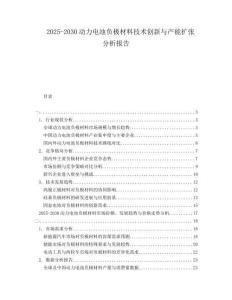 2025-2030動(dòng)力電池負(fù)極材料技術(shù)創(chuàng)新與產(chǎn)能擴(kuò)張分析報(bào)告
