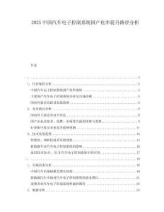 2025中國汽車電子控制系統國產化率提升路徑分析
