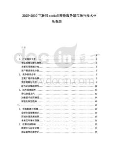 2025-2030互聯網socks5轉換服務器市場與技術分析報告