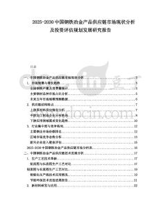 2025-2030中國鋼鐵冶金產品供應鏈市場現狀分析及投資評估規劃發展研究報告