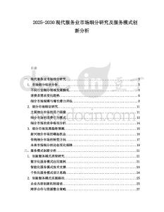 2025-2030現(xiàn)代服務(wù)業(yè)市場細(xì)分研究及服務(wù)模式創(chuàng)新分析
