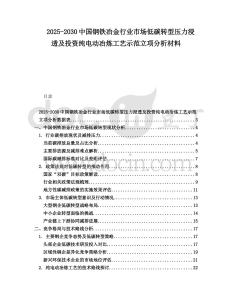 2025-2030中國鋼鐵冶金行業市場低碳轉型壓力浸透及投資純電動冶煉工藝示范立項分析材料