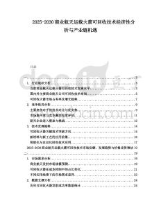 2025-2030商業(yè)航天運(yùn)載火箭可回收技術(shù)經(jīng)濟(jì)性分析與產(chǎn)業(yè)鏈機(jī)遇