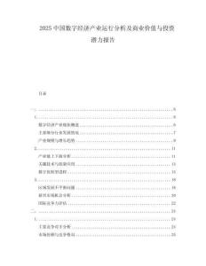 2025中國數字經濟產業運行分析及商業價值與投資潛力報告