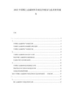 2025中國稀土永磁材料全球競爭格局與技術壁壘報告