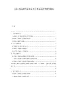 2025航天材料表面處理技術(shù)發(fā)展趨勢(shì)研究報(bào)告