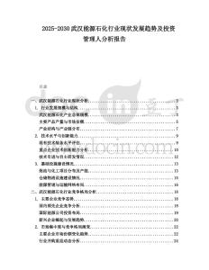 2025-2030武漢能源石化行業現狀發展趨勢及投資管理人分析報告