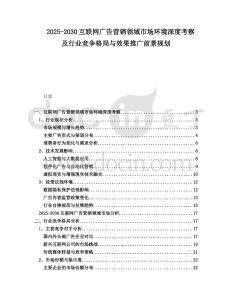 2025-2030互聯(lián)網(wǎng)廣告營(yíng)銷領(lǐng)域市場(chǎng)環(huán)境深度考察及行業(yè)競(jìng)爭(zhēng)格局與效果推廣前景規(guī)劃