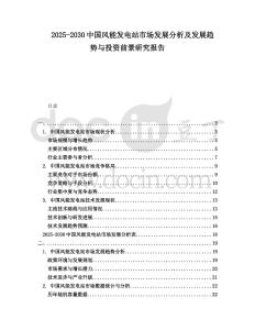 2025-2030中國風能發電站市場發展分析及發展趨勢與投資前景研究報告