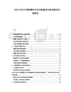 2025-2030中國智慧燈桿多功能集成與商業模式創新報告