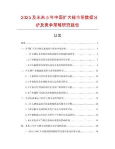 2025及未來5年中國擴大銼市場數(shù)據(jù)分析及競爭策略研究報告