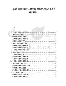 2025-2030中國電力儲能技術路線及市場投資機會研究報告