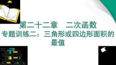 專題訓(xùn)練二：三角形或四邊形面積的最值