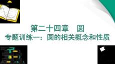 專題訓(xùn)練一：圓的相關(guān)概念和性質(zhì)