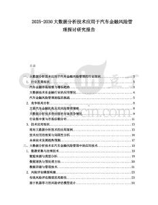 2025-2030大數據分析技術應用于汽車金融風險管理探討研究報告