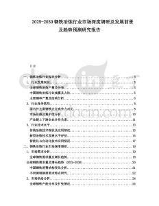 2025-2030鋼鐵冶煉行業(yè)市場深度調(diào)研及發(fā)展前景及趨勢預測研究報告