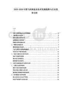 2025-2030中國飛機制造業技術發展趨勢與行業競爭分析