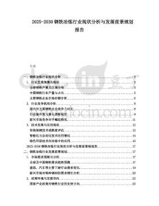 2025-2030鋼鐵冶煉行業(yè)現(xiàn)狀分析與發(fā)展前景規(guī)劃報告